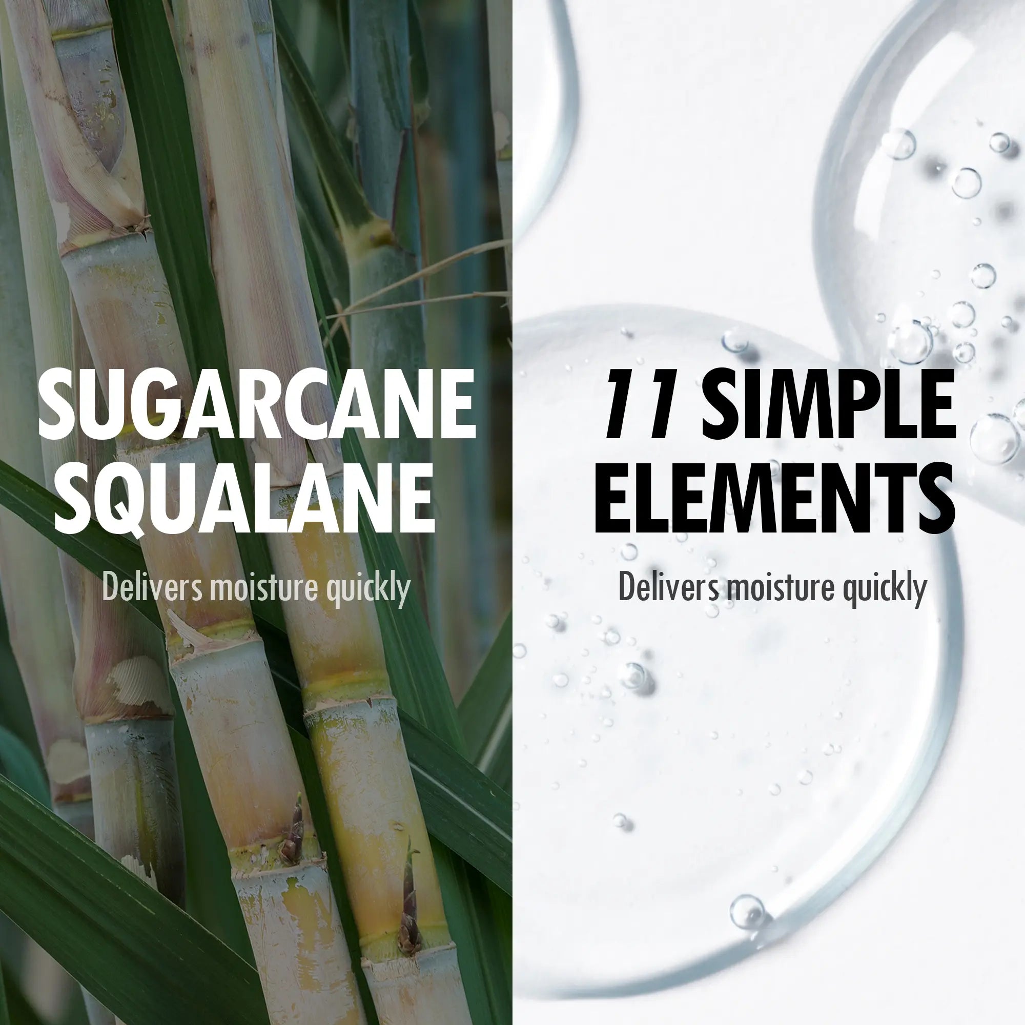 VEGREEN 730 Daily Face Moisturizer Cream with Squalane – Lightweight & Hydrating Korean Facial Moisturizer for Dry & Combination Skin, Skin Barrier Repair & Age-Defying Glow, 1.69 Fl Oz